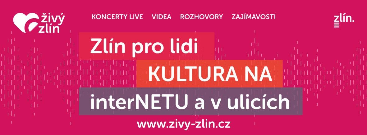zz-live-stream2--1-.jpg