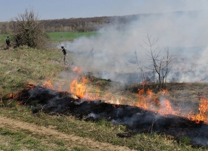 vypalování trávy je v ČR zakázáno zákonem.jpg