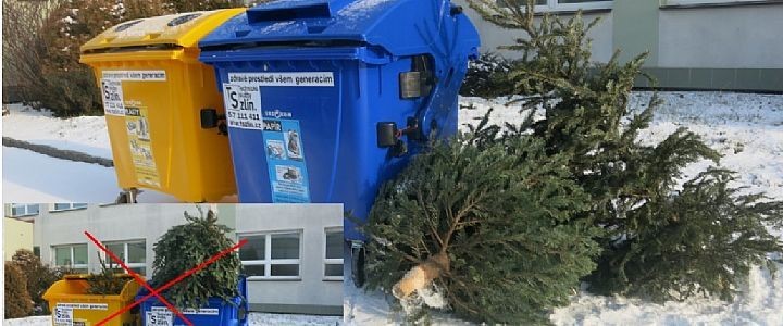 Vánoční stromy je potřeba odložit u nádob na odpady