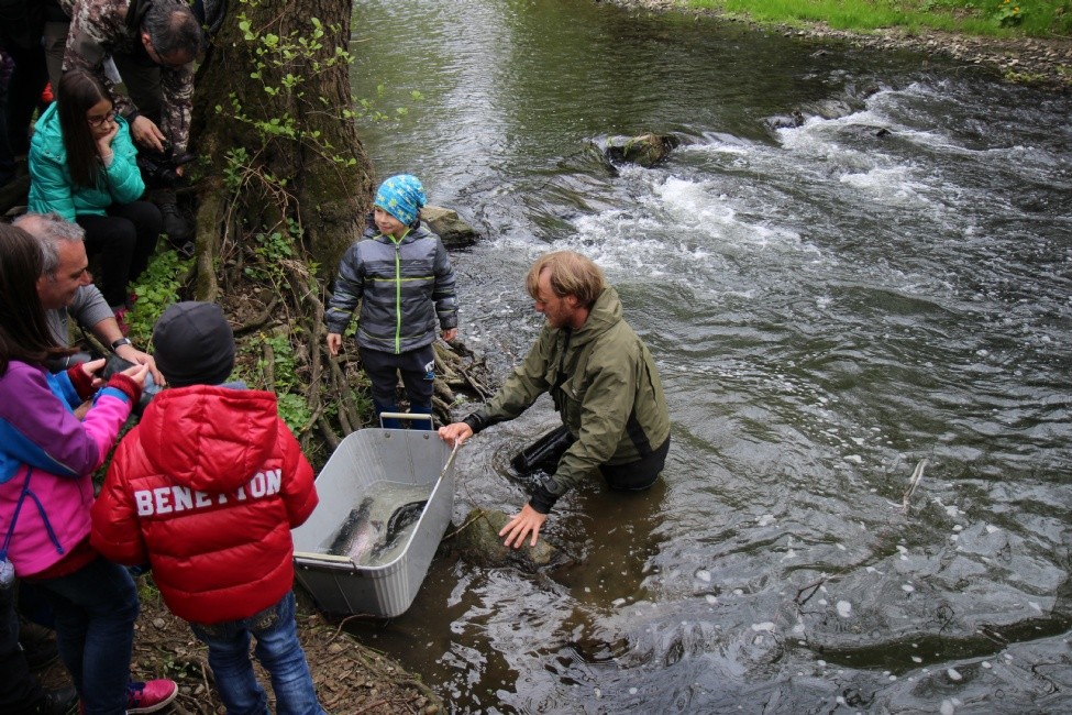 Pstruhy do Dřevnice pouštěly s Jakubem Vágnerem i děti