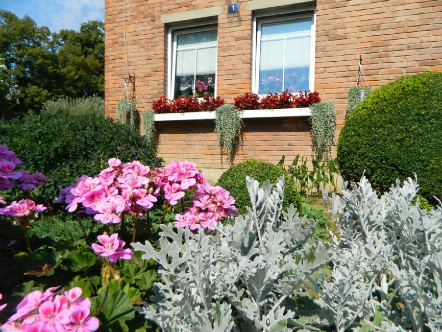 Rozkvetlé město 2016