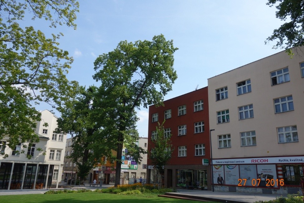 Stromy určené k ošetření