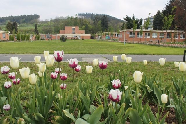 Rozkvetlý areál KNTB