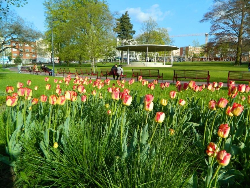 Rozkvetlý park Komenského