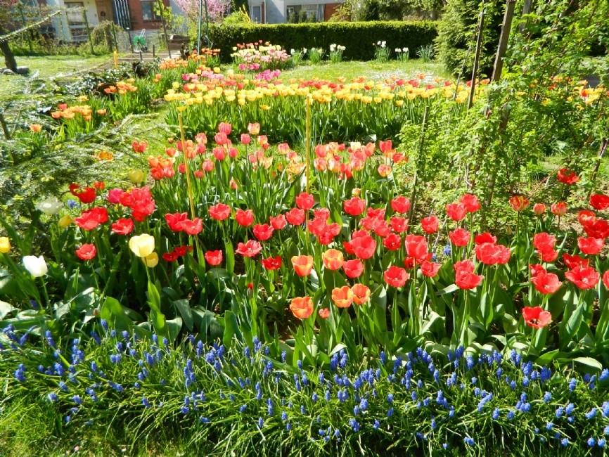 Soutěž ROZKVETLÉ MĚSTO