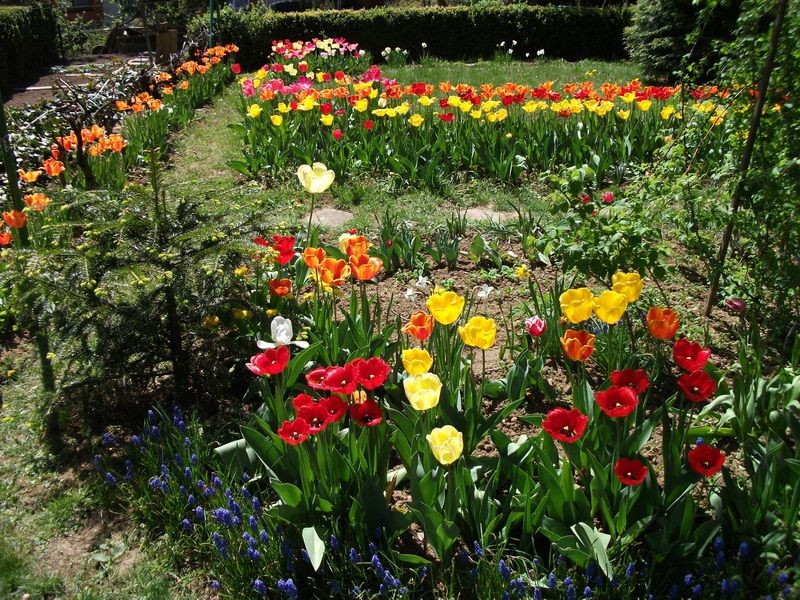 Zlín je dlouhodobě městem zeleně