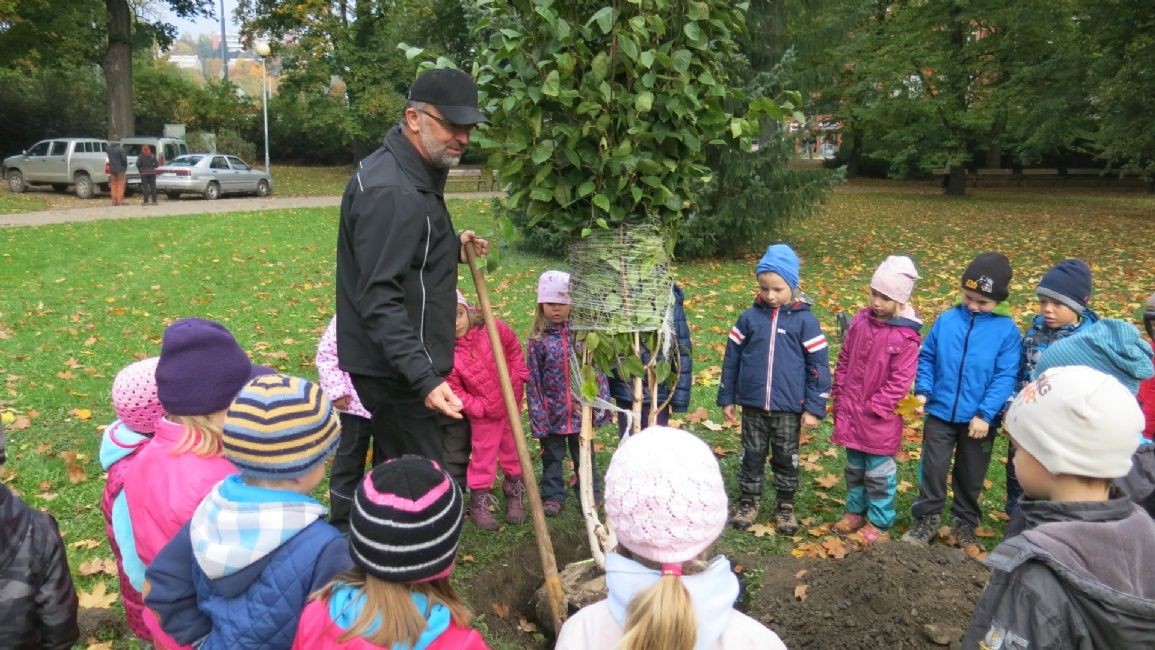 Před několika dny byla vysazena bříza himalájská v sadu Svobody. Sadili ji děti z MŠ a náměstek primátora Bedřich Landsfeld