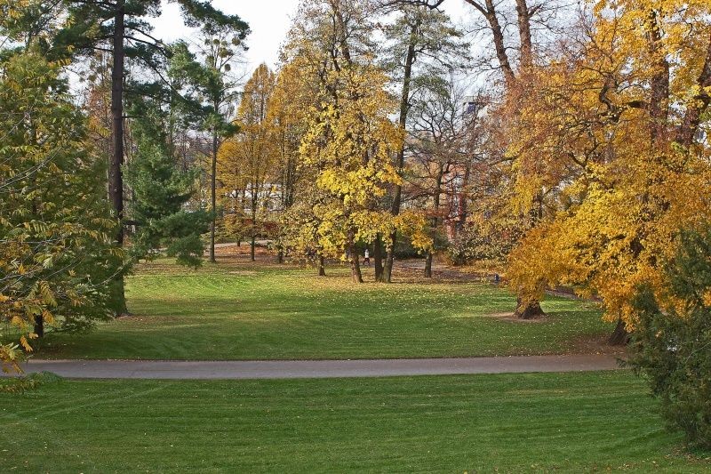 Péči o zeleň se město věnuje s maximální pozorností