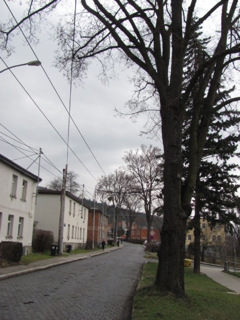 Ulici Mostní čeká rekonstrukce