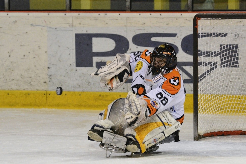 Brankář Stanislav Molek v akci.