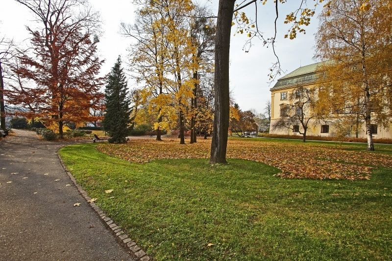 Dotace bude možné získat i pro oblast životního prostředí