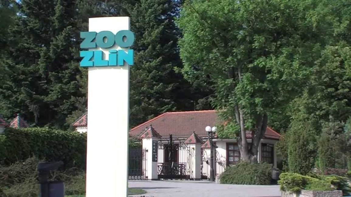 Zoologická zahrada má další skvělou atrakci