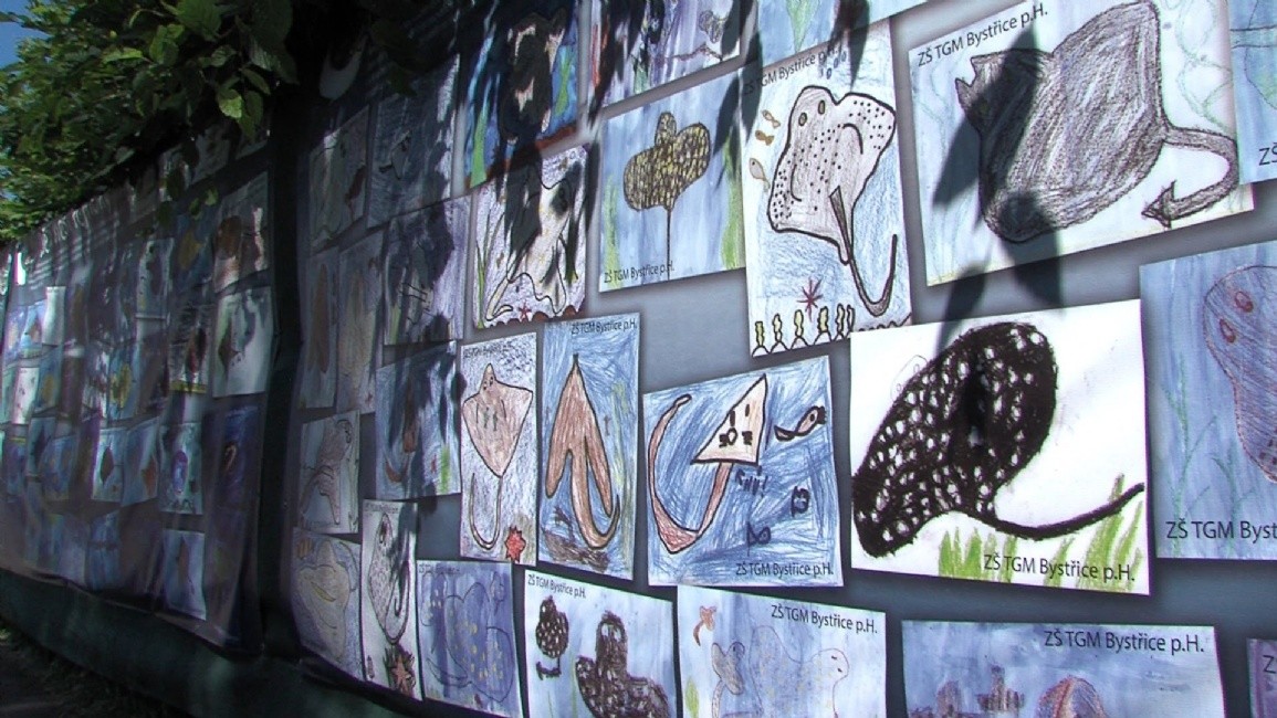 Děti se už na Zátoku rejnoků těší a malují obrázky na toto téma