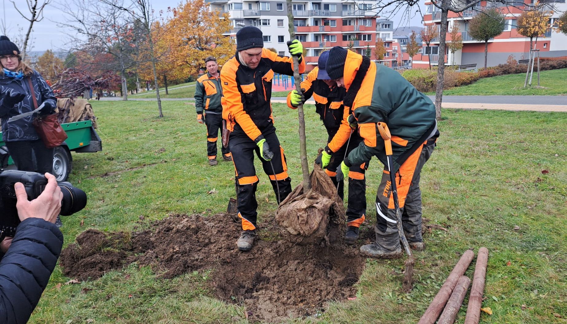 Ekologické hydrogely ze zlínské univerzity pomohou chránit stromy v Centrálním parku
