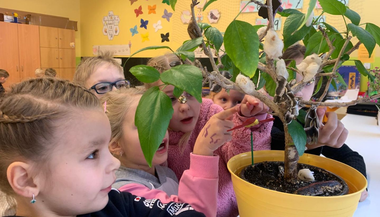 Škola na Podhoří obhájila titul Ekoškola