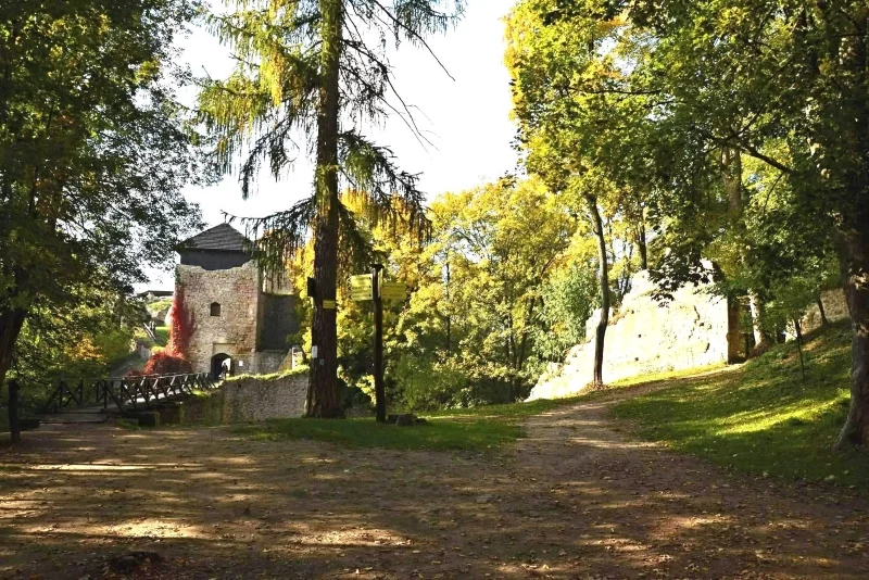 Den stromů a Den s Lesy ČR na hradě Lukově