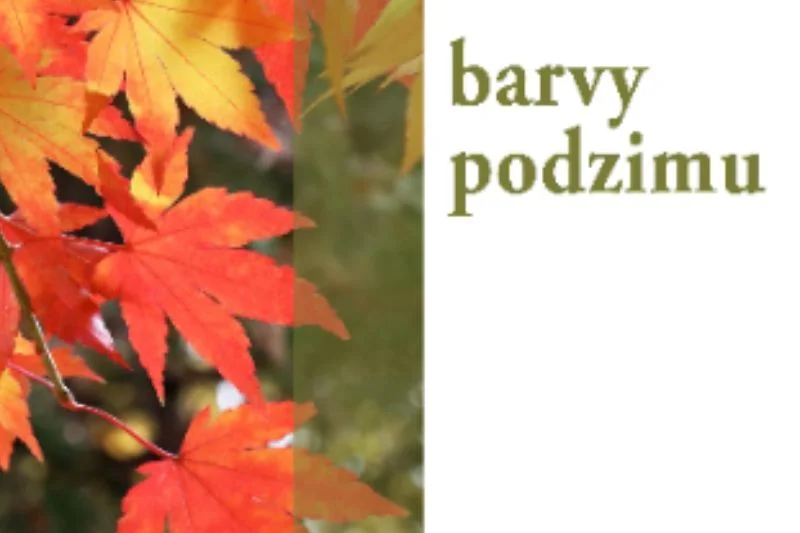 Barvy podzimu 2026
